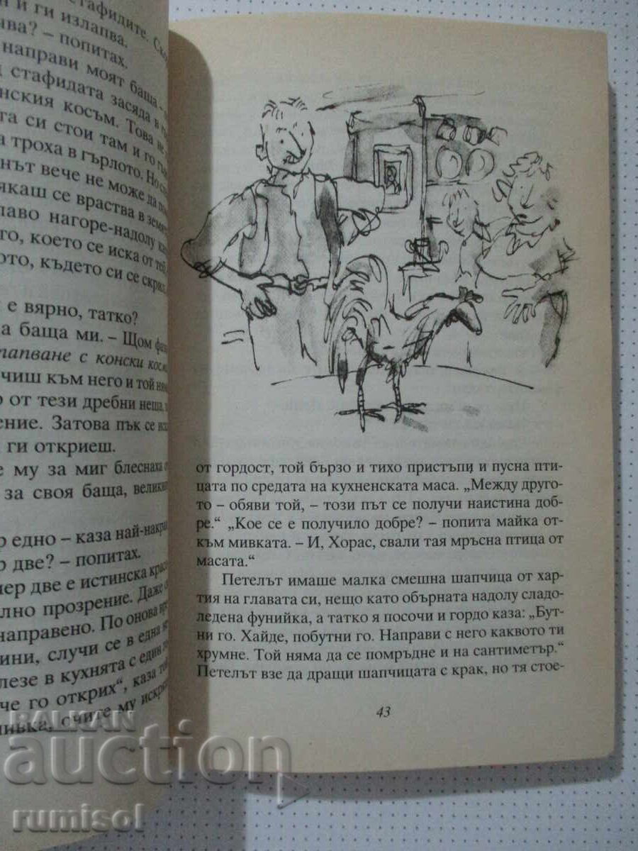 Livrarea Danny, campionul lumii - Roald Dahl
