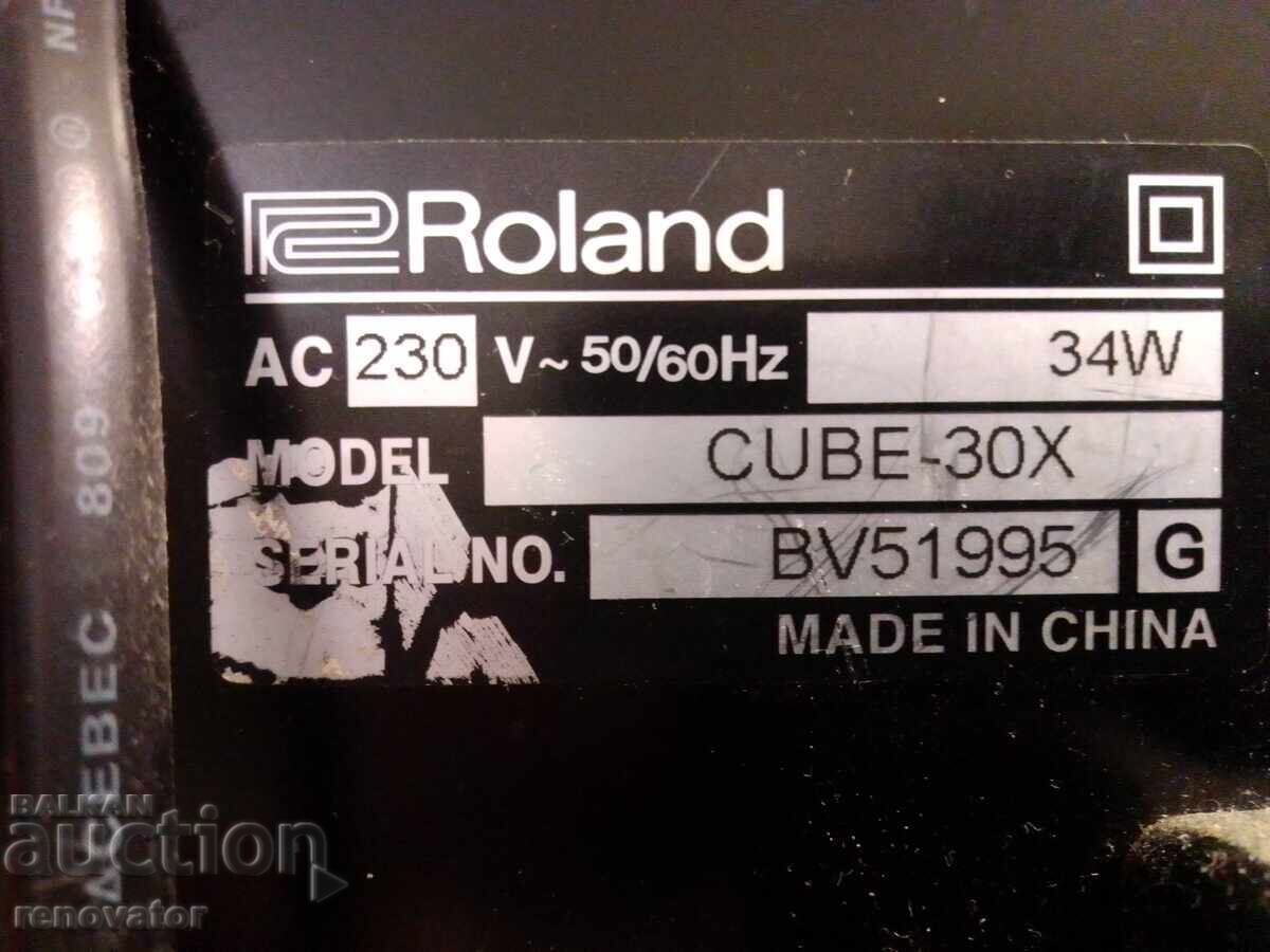 ROLAND Cube 30X Amplifier - 6