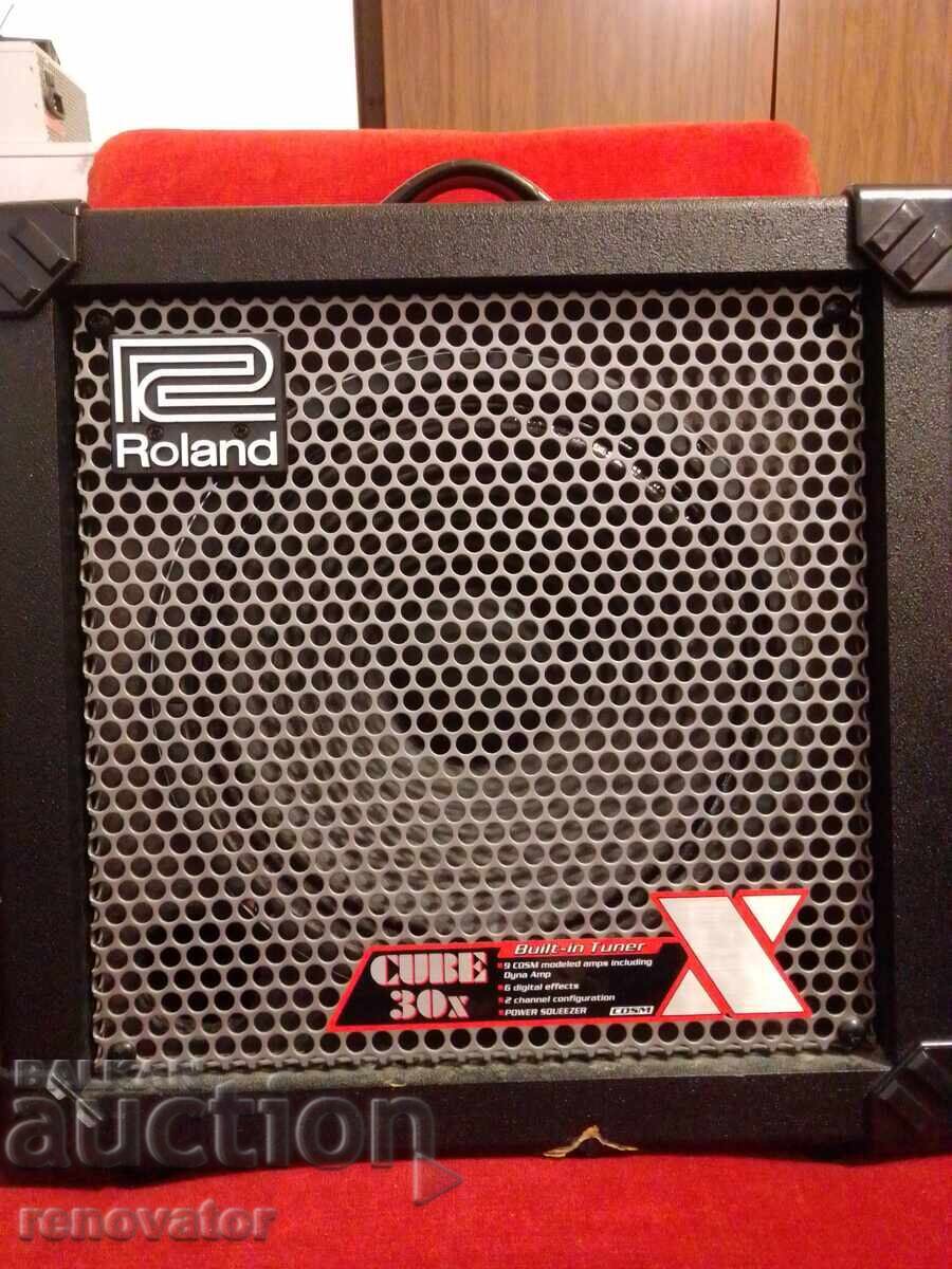 ROLAND Cube 30X Amplifier