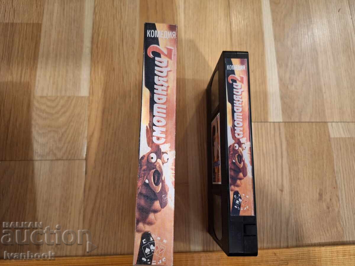 Caseta video VHS - American Pie 2 cu preț € 4.00 | 7.82 BGN