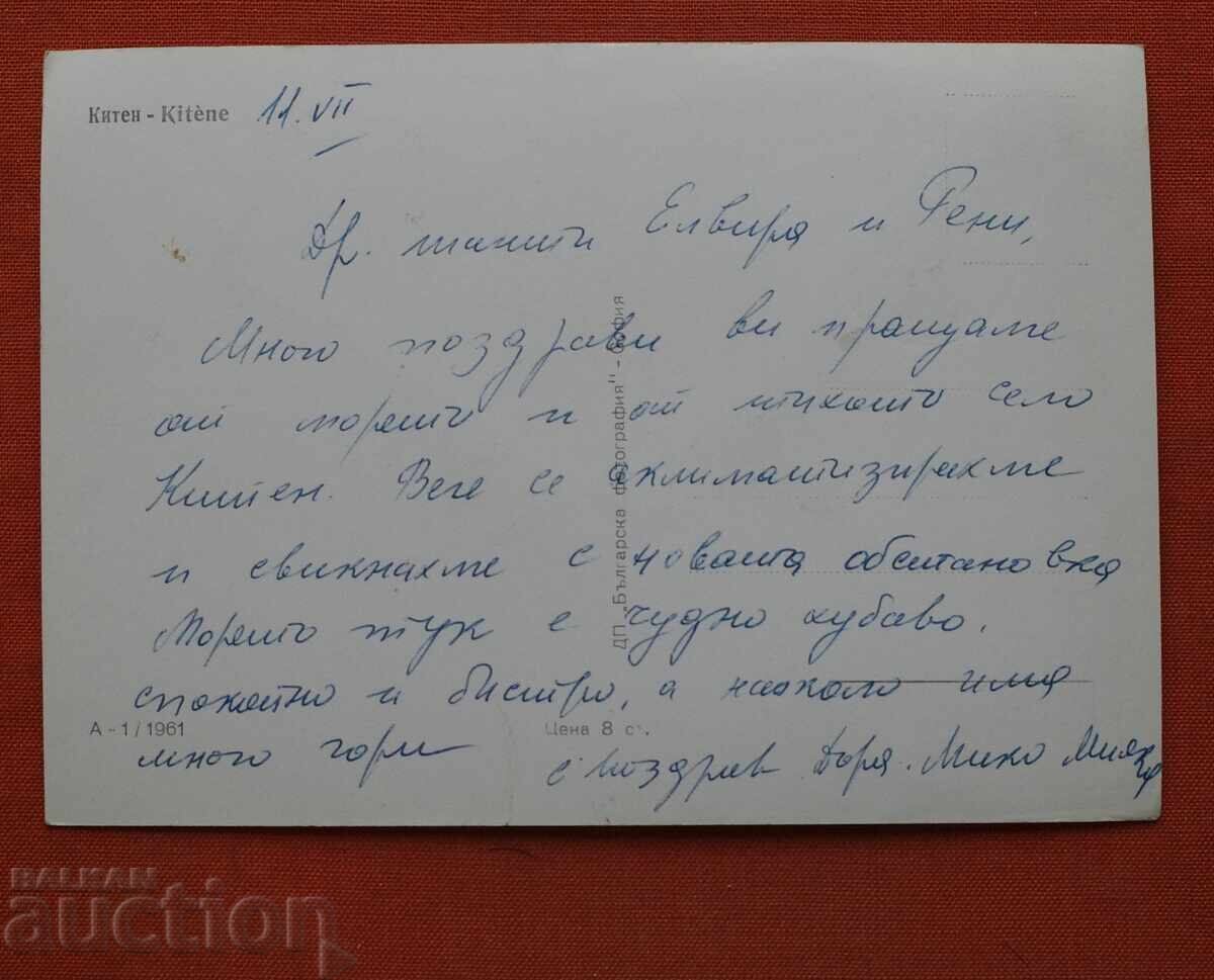 Γατάκι με τιμή € 1.00 | 1.96 BGN