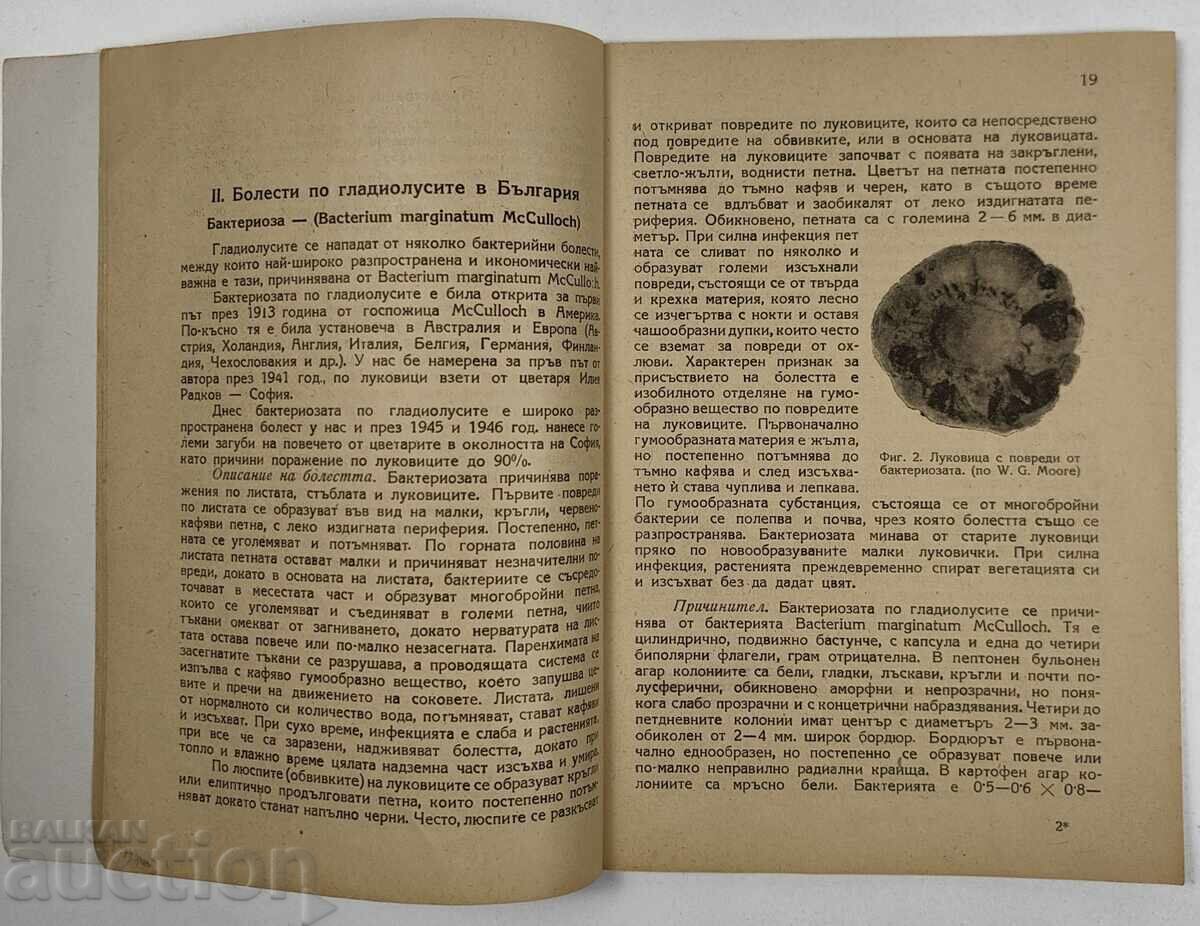 Παράδοση 1947 ΓΛΑΔΙΟΛΕΣ ΚΑΛΛΙΕΡΓΕΙΑ ΑΣΘΕΝΕΙΕΣ ΕΧΘΡΟΙ