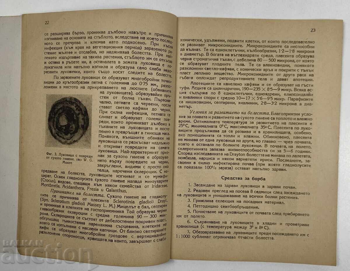 1947 ΓΛΑΔΙΟΛΕΣ ΚΑΛΛΙΕΡΓΕΙΑ ΑΣΘΕΝΕΙΕΣ ΕΧΘΡΟΙ - 5