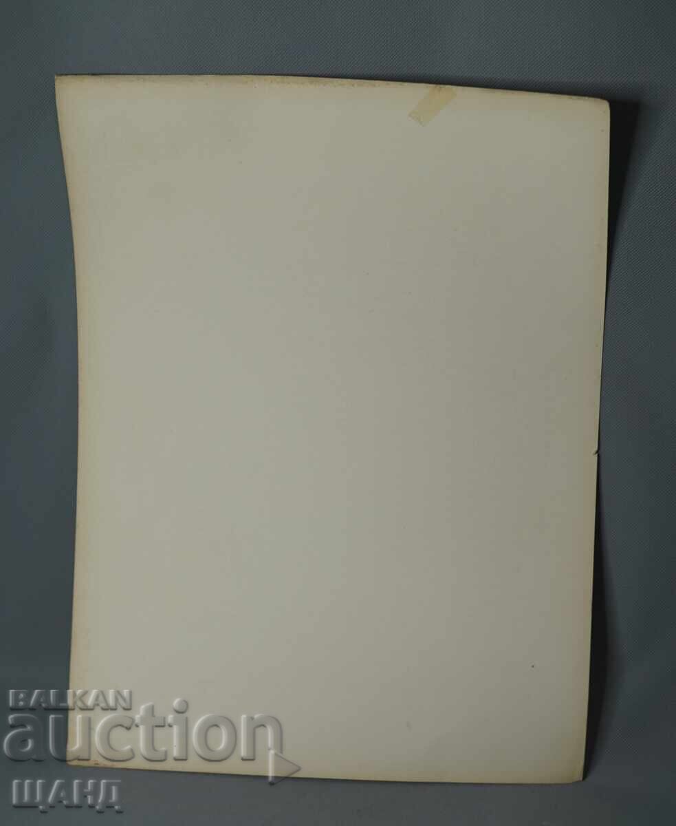 Licitație Litografie arhitecturală din Viena, 1900, vilă, clădire, casă