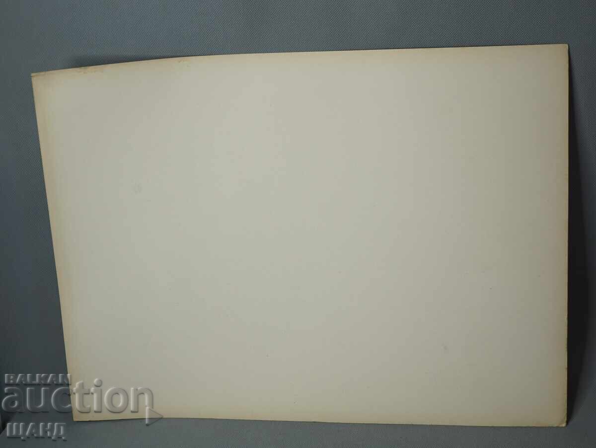 Licitație Litografie arhitecturală din Viena, 1900, vilă, clădire, casă