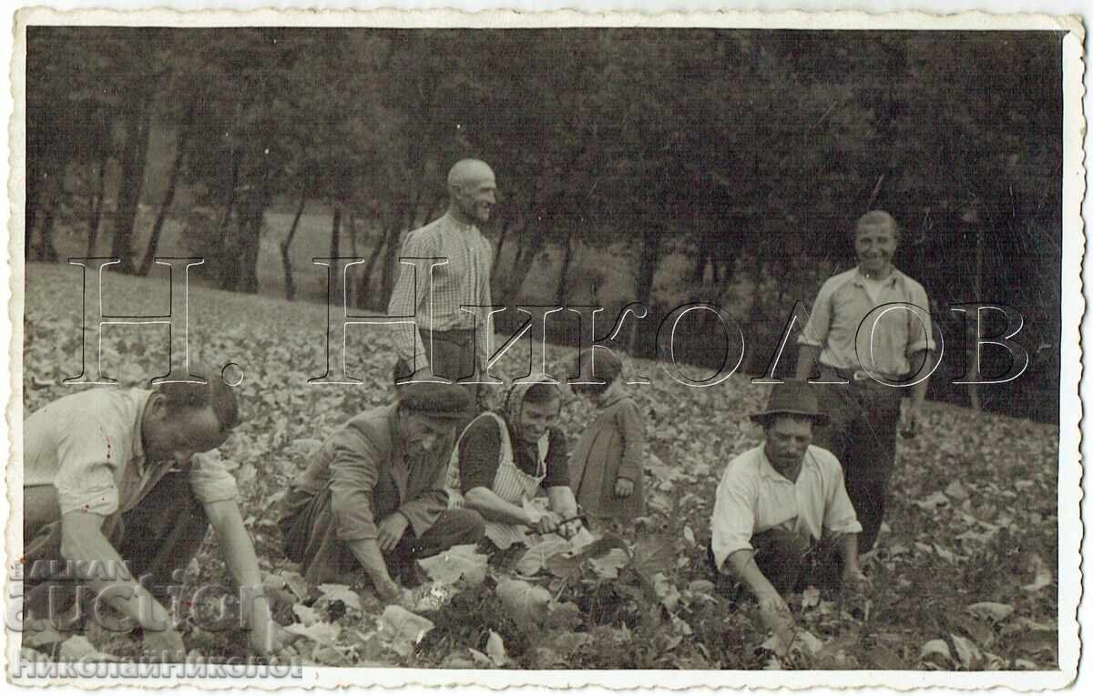 PALEO FOTOGRAFIYA ΒΟΥΛΓΑΡΟΙ ΜΑΝΑΒΗΔΕΣ ΣΤΟ ΕΞΩΤΕΡΙΚΟ ZH911