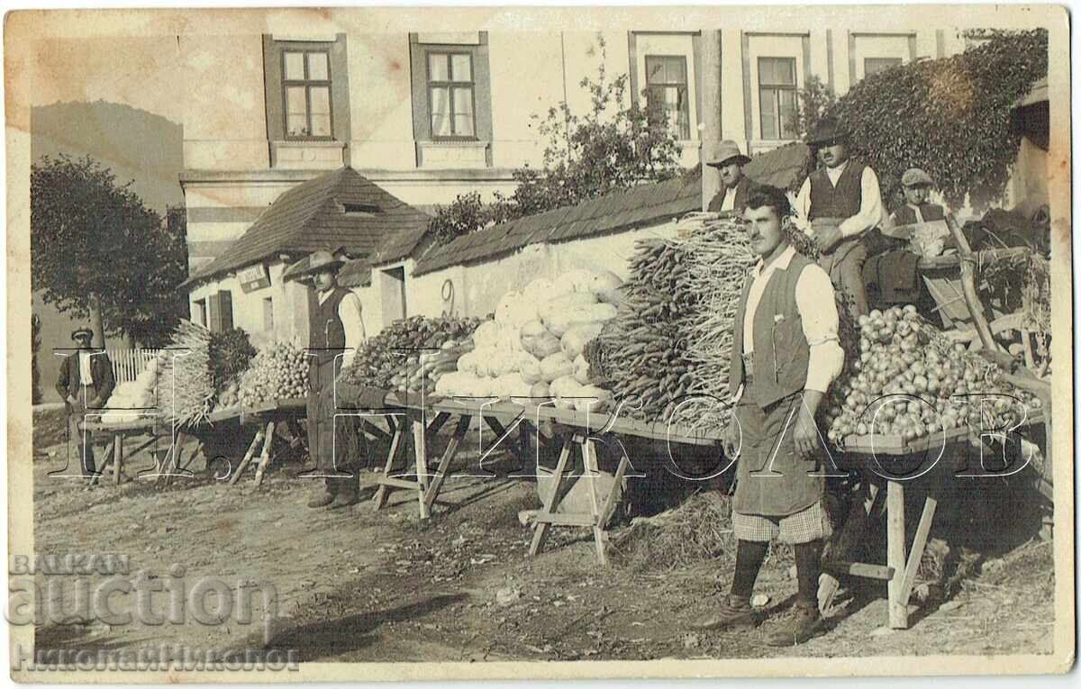 PALEA FOTOGRAFIYA NA BŬLGARSKI ZELENCHUKOPROIZVODITELI V CHUZHBINA ZH917