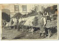 PALEA FOTOGRAFIYA NA BŬLGARSKI ZELENCHUKOPROIZVODITELI V CHUZHBINA ZH917