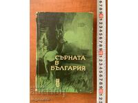 ПЕТЪР ПЕТРОВ,П.ДРАГОЕВ,И.КОЛЕВ-СЪРНАТА В БЪЛГАРИЯ-1968