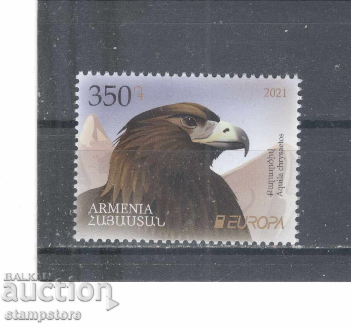 Armenia - Păsări răpitoare