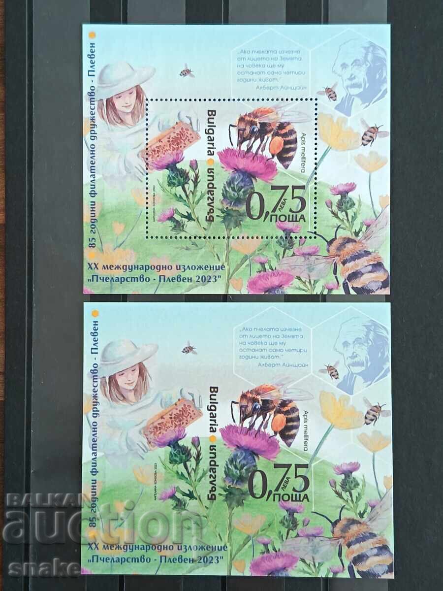 България 2023г. - БК 5619