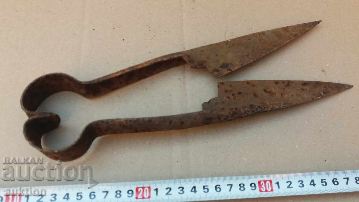 OLD SHEEP SHEARS - 5