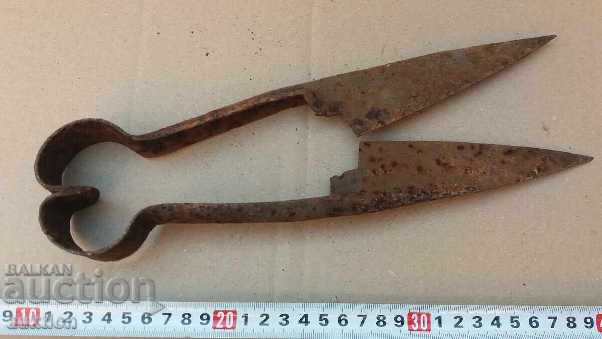 OLD SHEEP SHEARS - 6