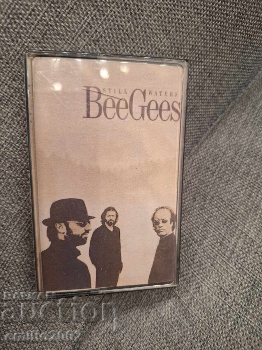 Audio cassette - Bee Gees