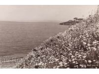 Old postcard, photograph Kingdom of Bulgaria, Burgas
