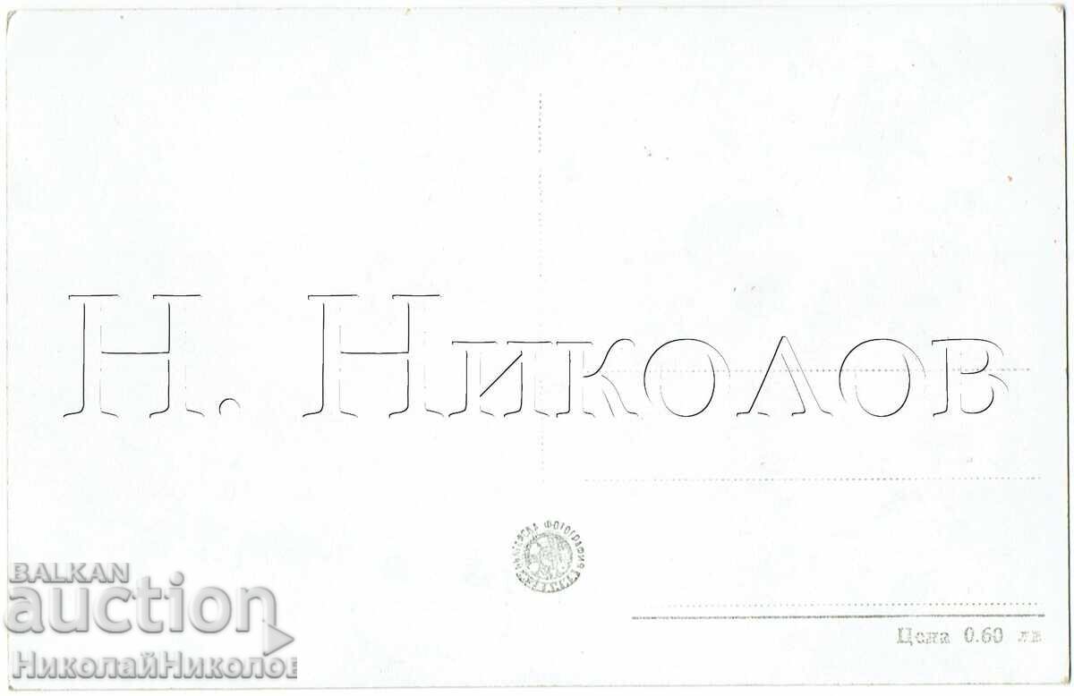 СТАРА КАРТИЧКА БЕРКОВИЦА ОБЩ ИЗГЛЕД Ж969 с цена € 2.50 | 4.89 лв.