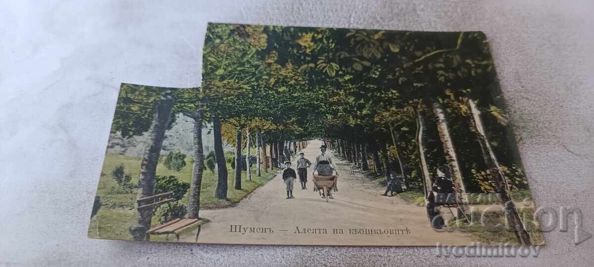 Postcard Shumen Alley of the Kyoshove 1912
