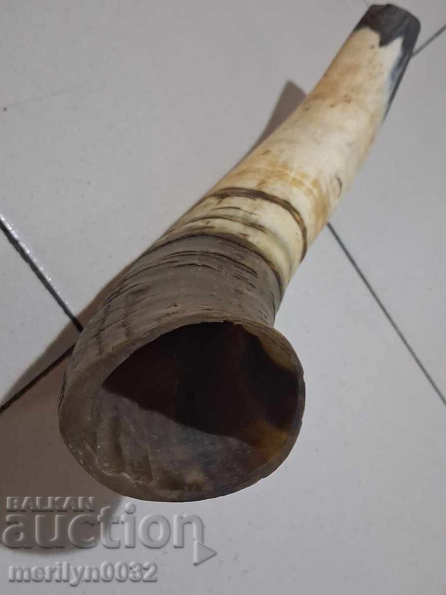 Παλαιό κέρας για μπαρουτοθήκη ή σήμα, πιστόλι, τουφέκι - 6