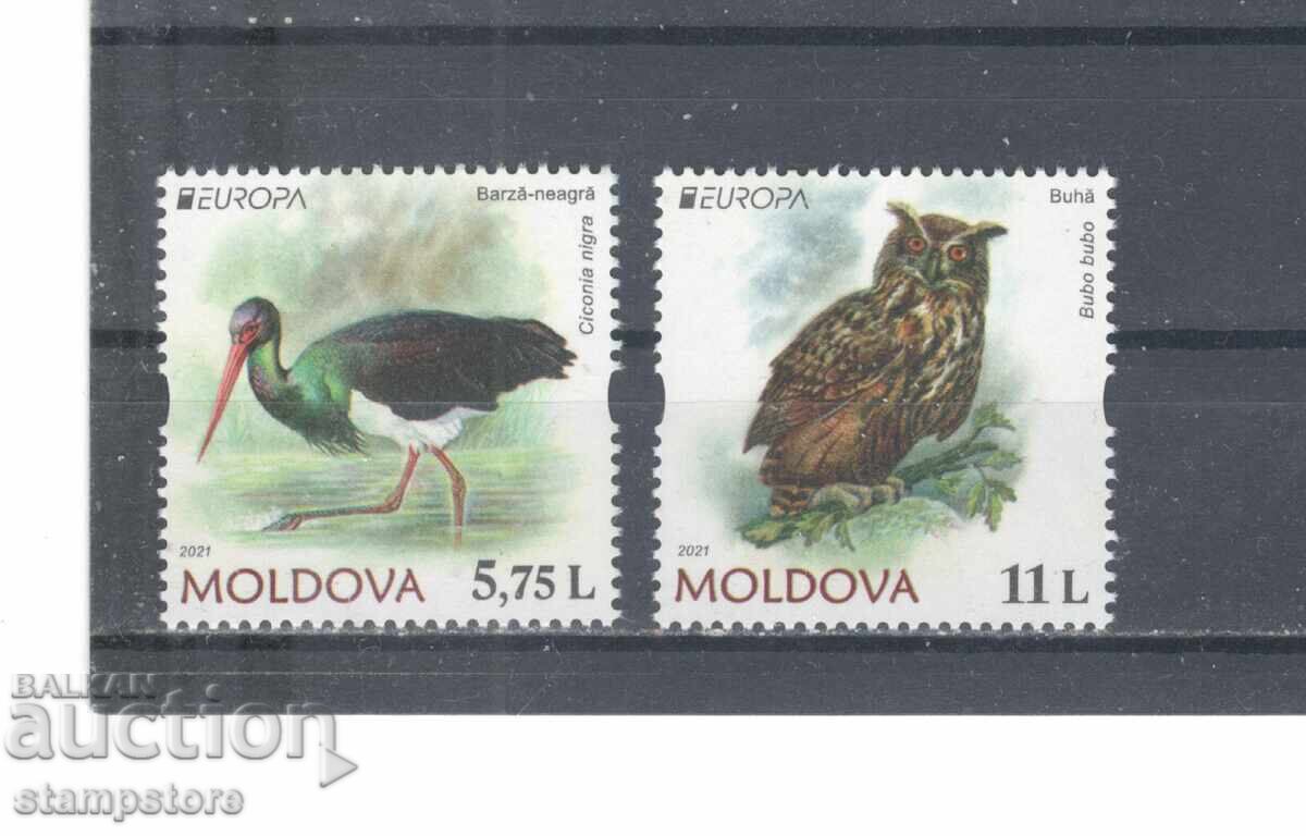 Republica Moldova - Animale Protejate