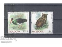 Republica Moldova - Animale Protejate