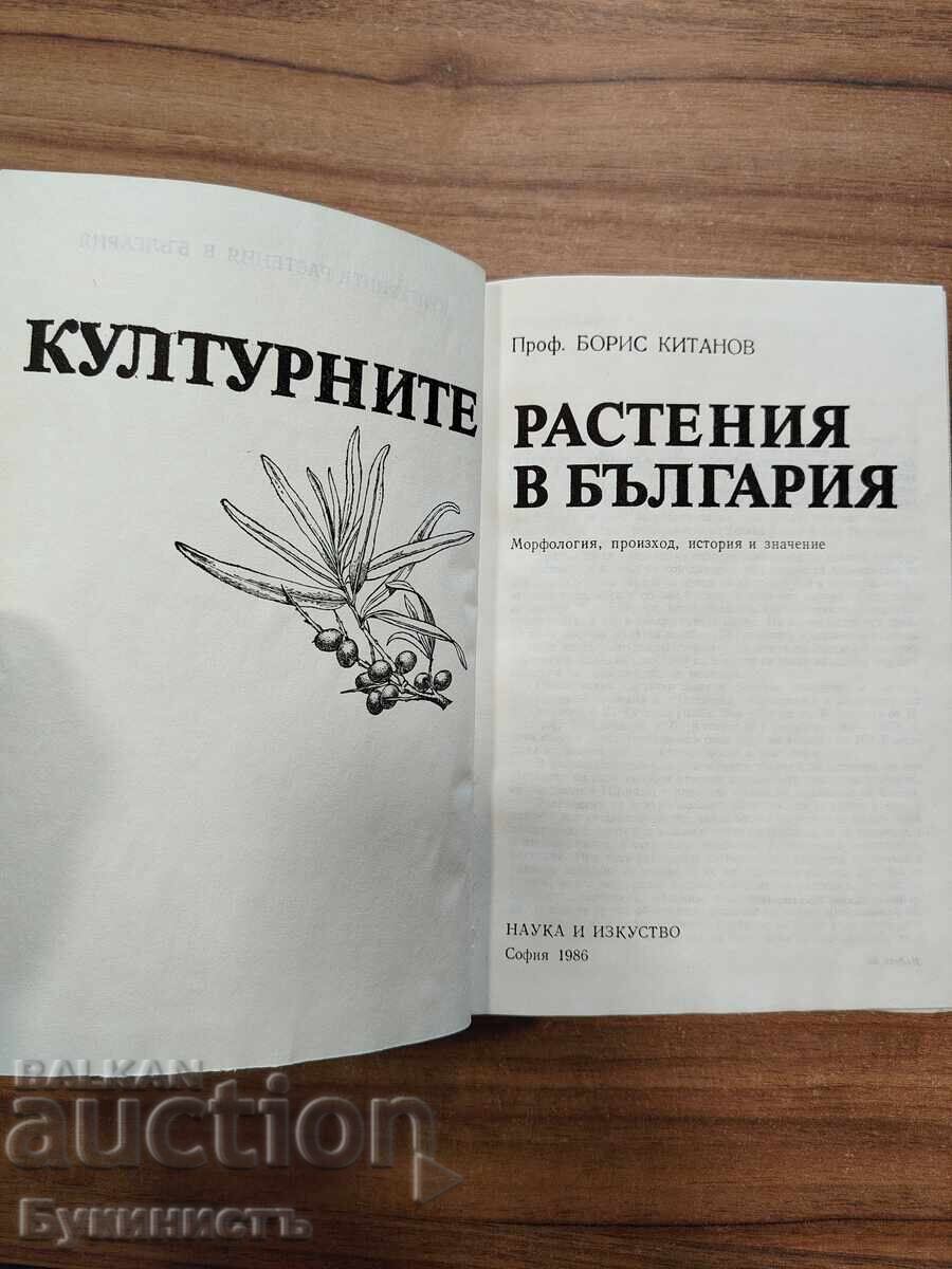 CULTIVATED PLANTS IN BULGARIA with price 7.00 €