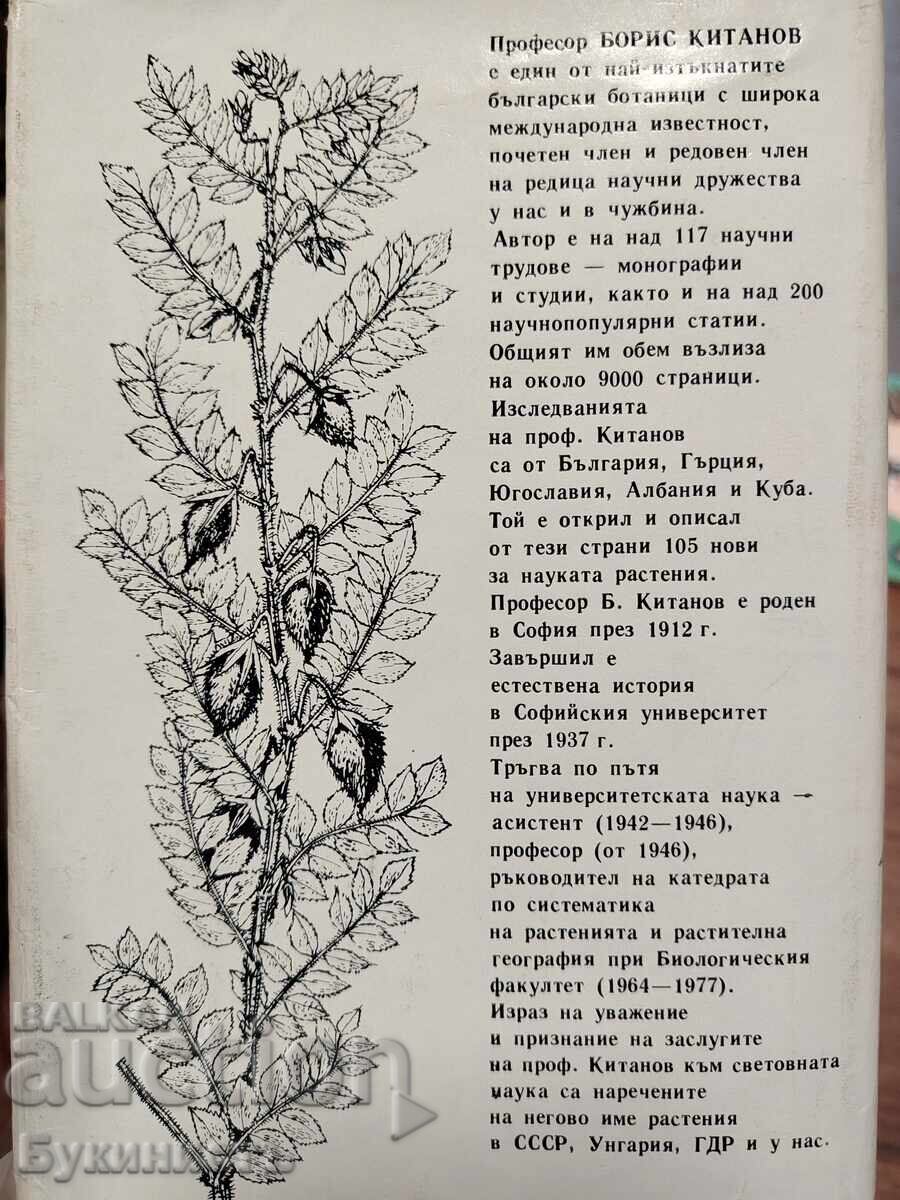 CULTIVATED PLANTS IN BULGARIA - 6