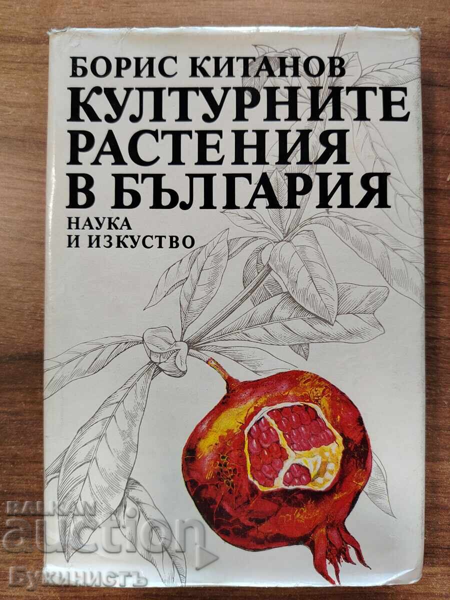 CULTIVATED PLANTS IN BULGARIA