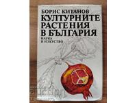 КУЛТУРНИТЕ РАСТЕНИЯ В БЪЛГАРИЯ