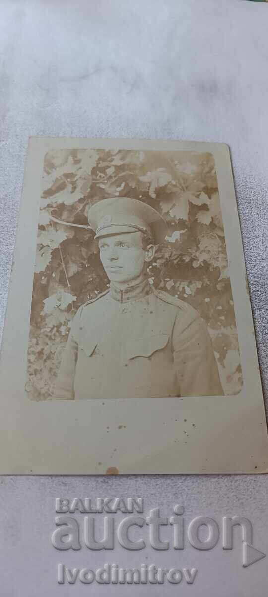 Photograph Soldier First World War