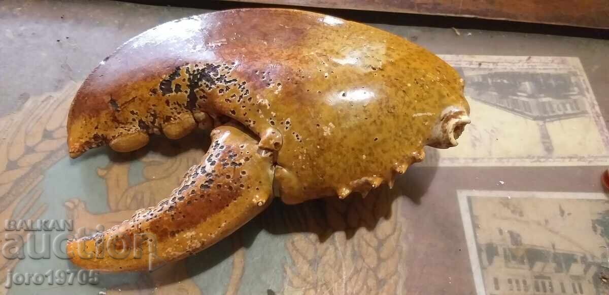 Claw from a giant lobster