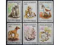 Румъния 1994г. - Фауна. Michel 5055/60
