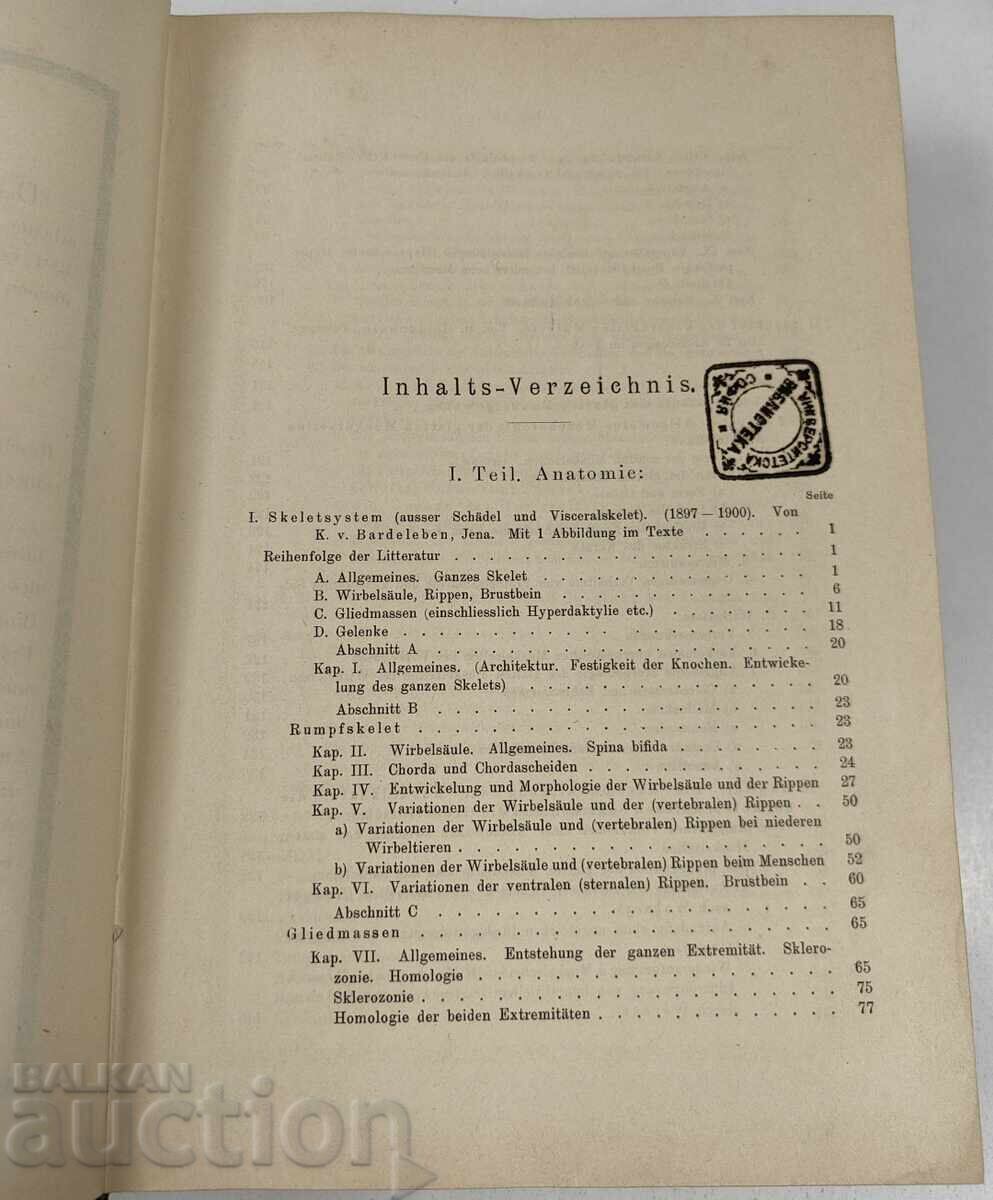 Delivery of 1900 ANATOMY NOTEBOOKS ANATOMY MEDICINE GERMAN LANGUAGE
