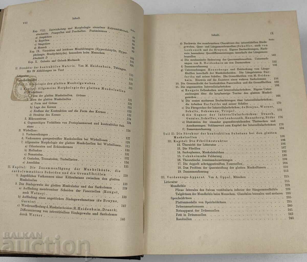 1900 ANATOMY NOTEBOOKS ANATOMY MEDICINE GERMAN LANGUAGE - 5
