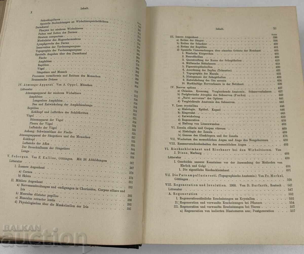 1900 ANATOMY NOTEBOOKS ANATOMY MEDICINE GERMAN LANGUAGE - 6