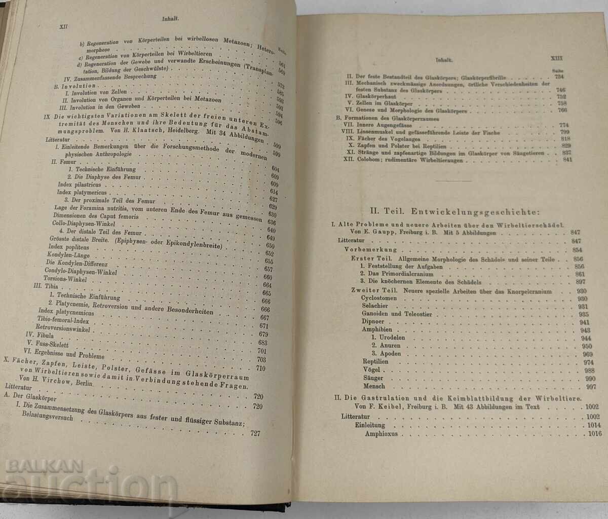 1900 ANATOMY NOTEBOOKS ANATOMY MEDICINE GERMAN LANGUAGE - 7