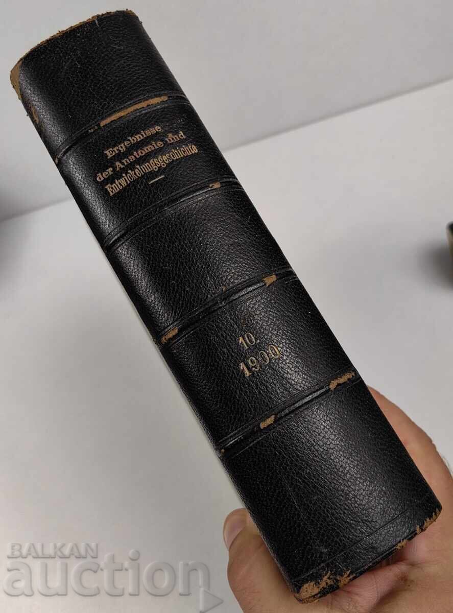 1900 ANATOMY NOTEBOOKS ANATOMY MEDICINE GERMAN LANGUAGE