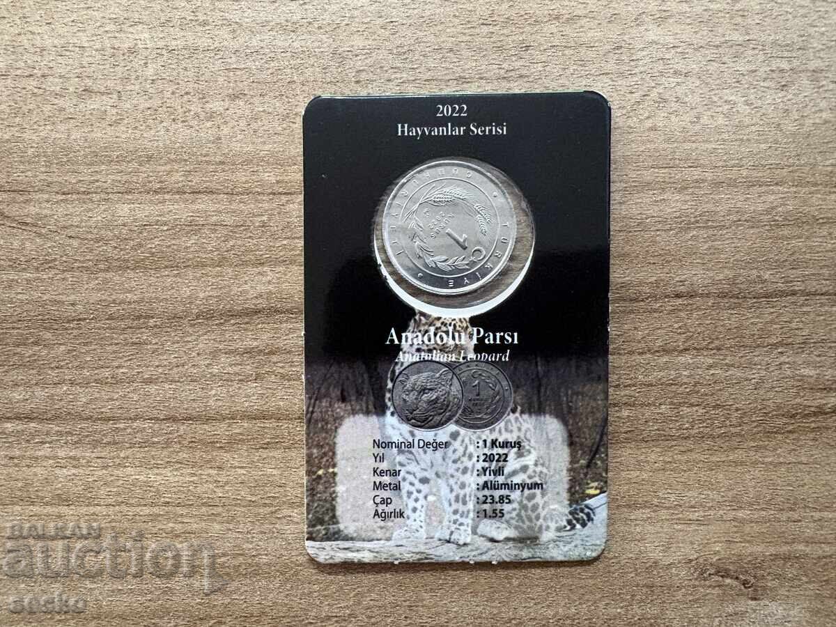 Turkey - 1 kuruş (2022) - Anatolian leopard with price 3.45 €