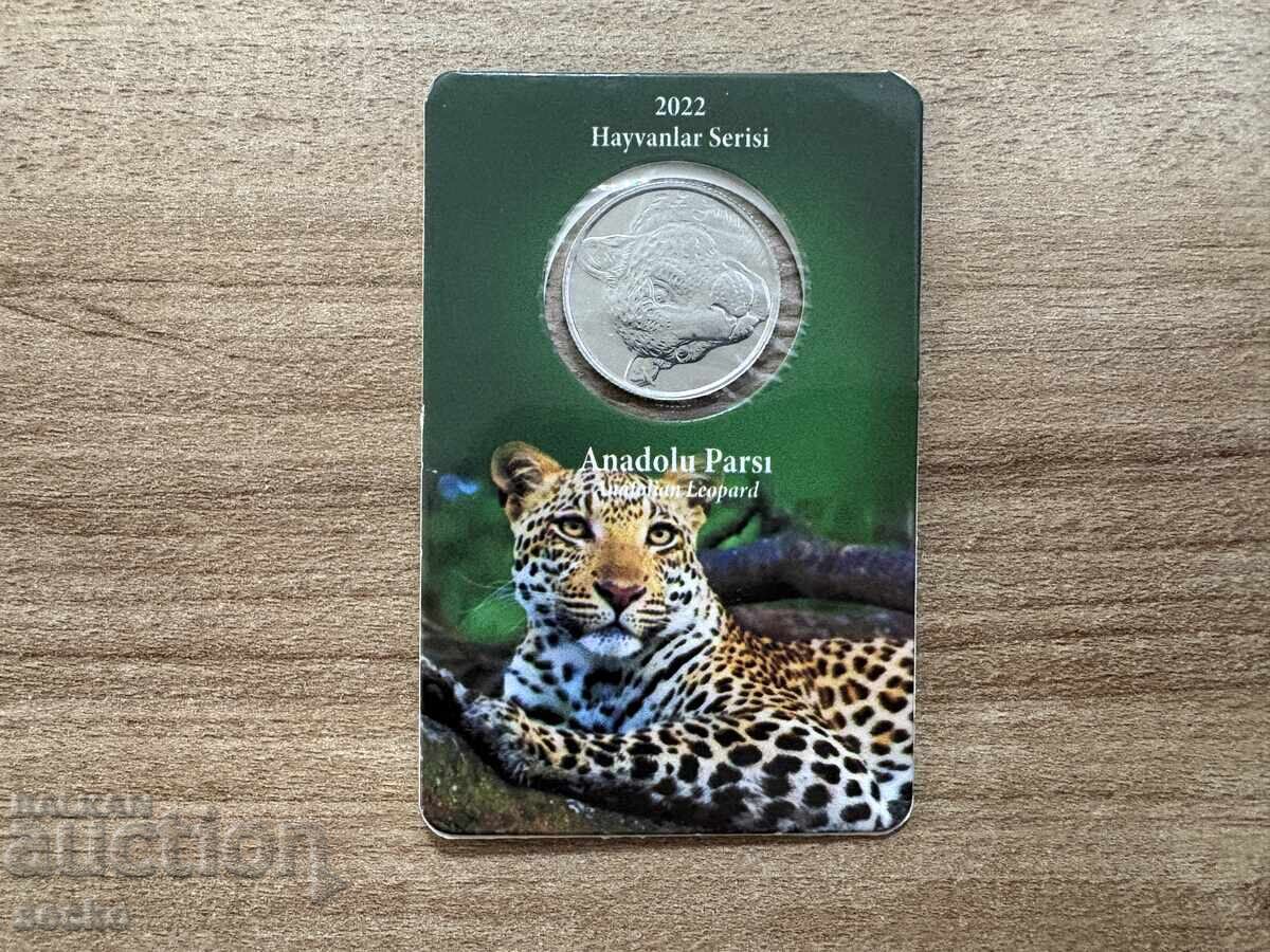 Turkey - 1 kuruş (2022) - Anatolian leopard