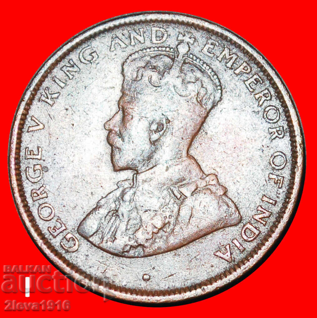 GREAT BRITAIN (1912-1929): CEYLON ★ 1 CENT 1914 DISCOVERY! with price 5.94 € GREAT BRITAIN (1912-1929): CEYLON ★ 1 CENT 1914 DISCOVERY! with price 5.94 €