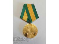 380. Medalie 100g Războiul Ruso-Turc